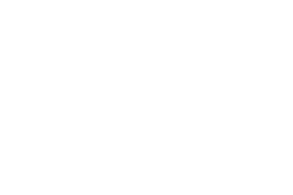 LOGO-BellaireLandscape