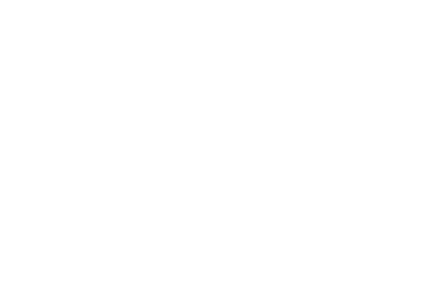 LOGO-HST-Synthetics