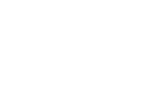 LOGO-TecumsehSoccer